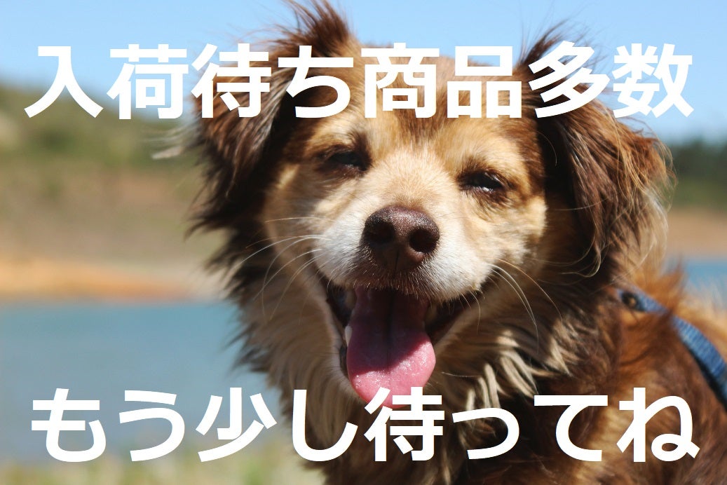 目指そう殺処分ゼロ！GO！保護犬GOの生命維持応援サイト | FREEGO!